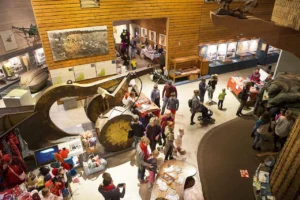 kuva Lustosta - Suomen Metsämuseosta, Suomen metsämuseot