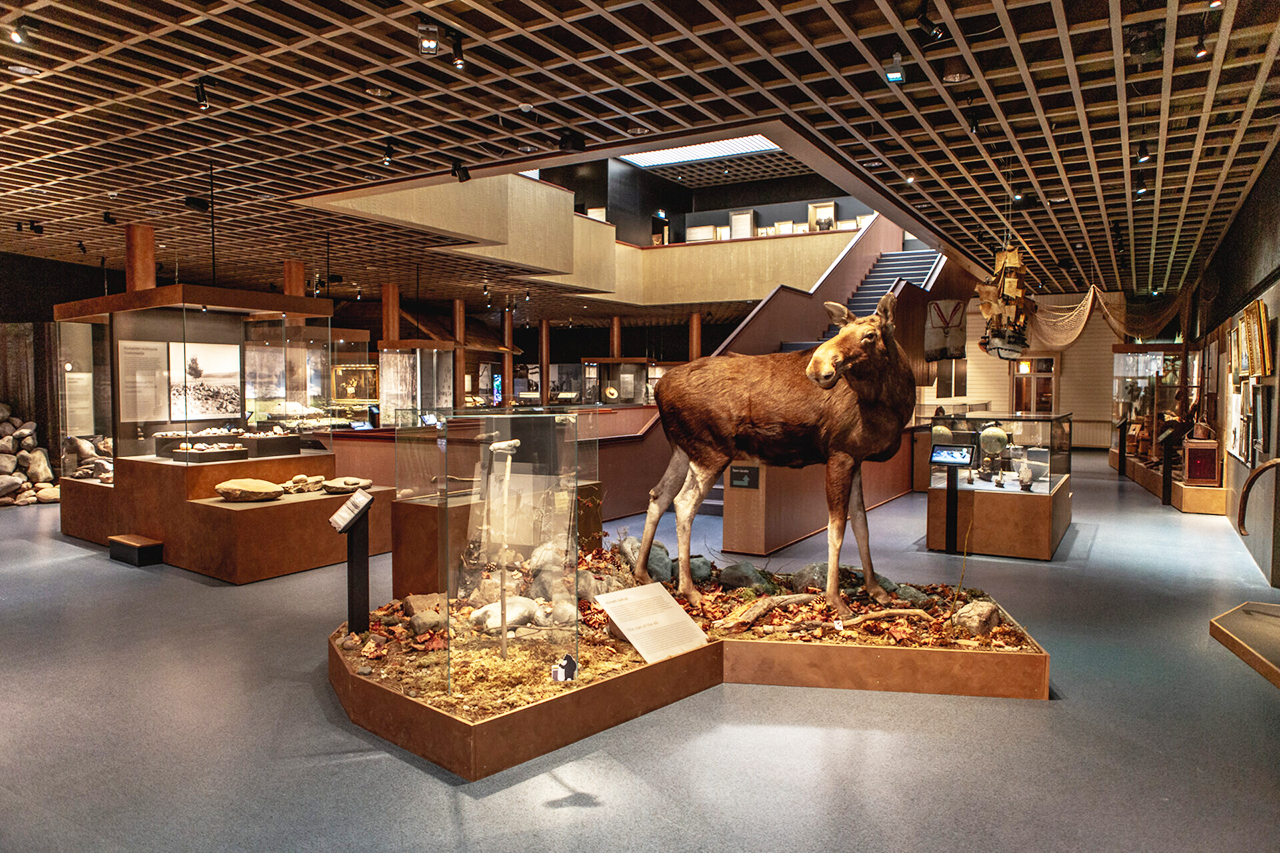 Satakunnan Museon kuva, Suomen museot